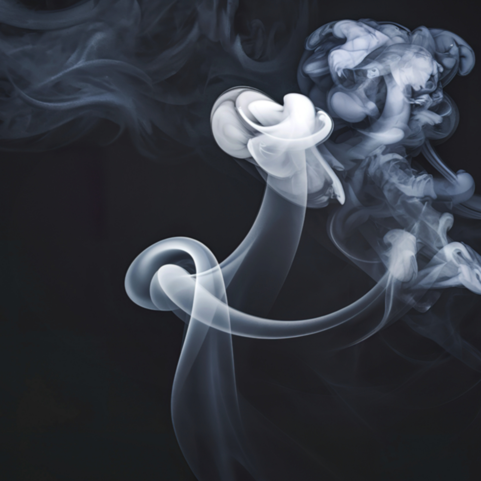 Luxury cigar interior