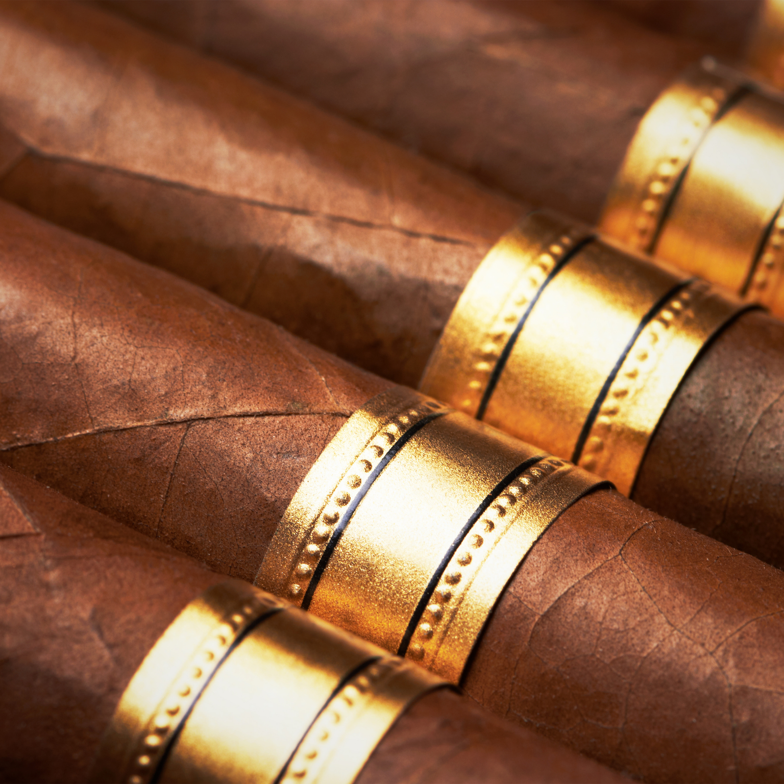 Luxury cigar details